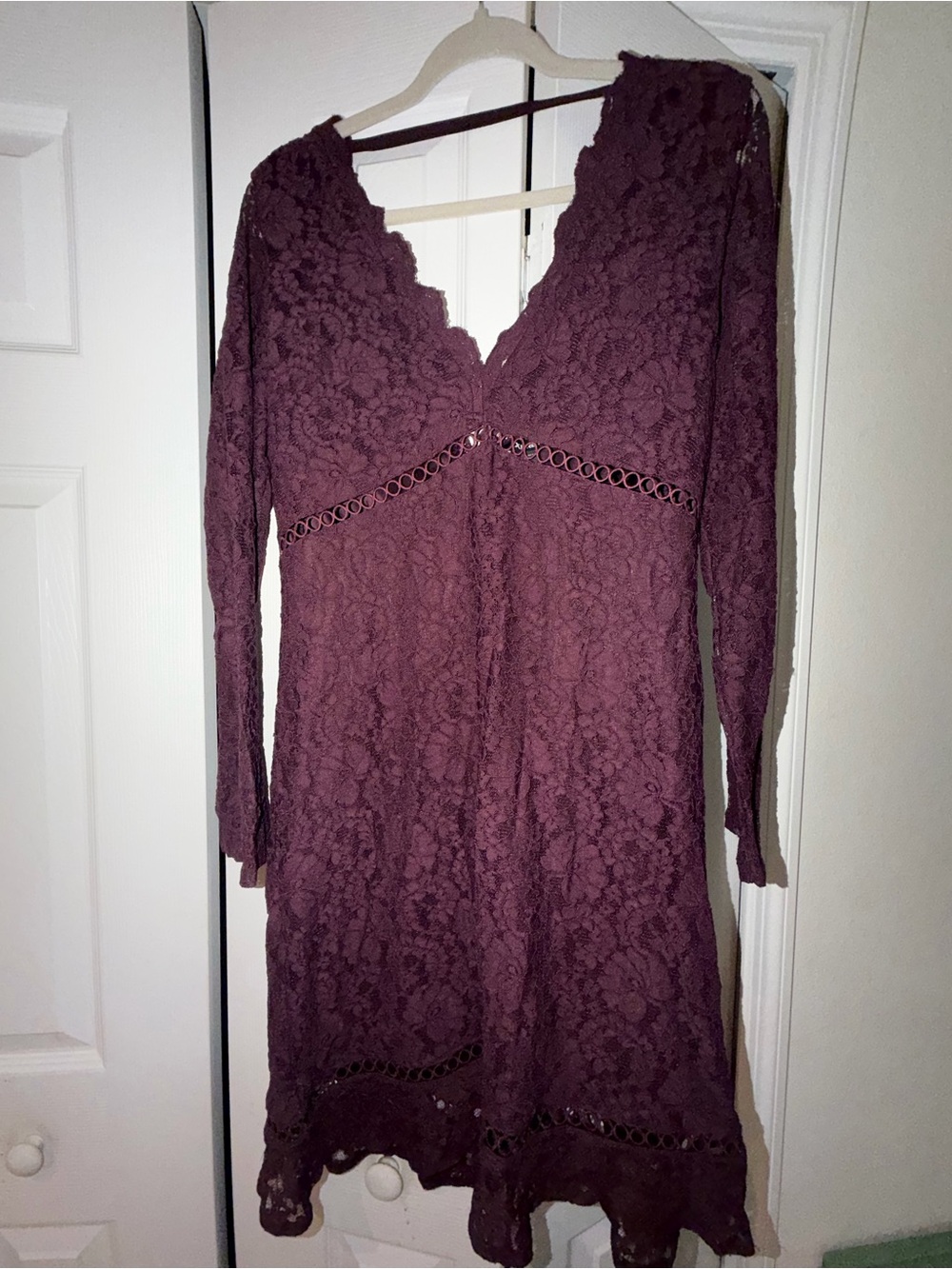 Express Plum Lace Long Sleeve V-Neck Dress